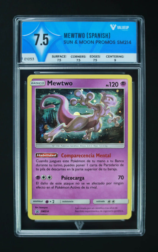 01053 MEWTO (SPANISH) Grading Card