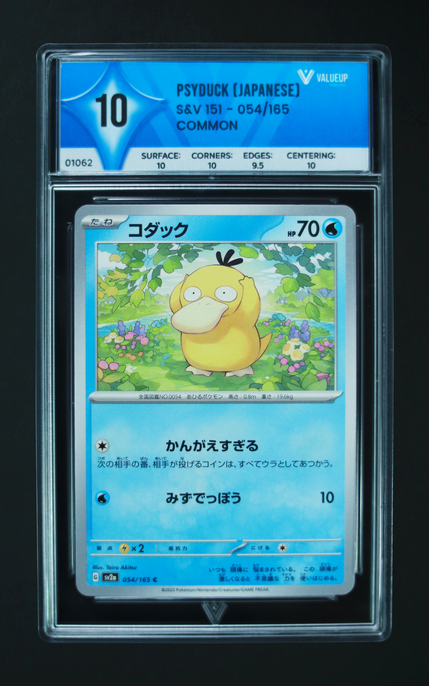 01062 PSYDUCK (JAPANESE)