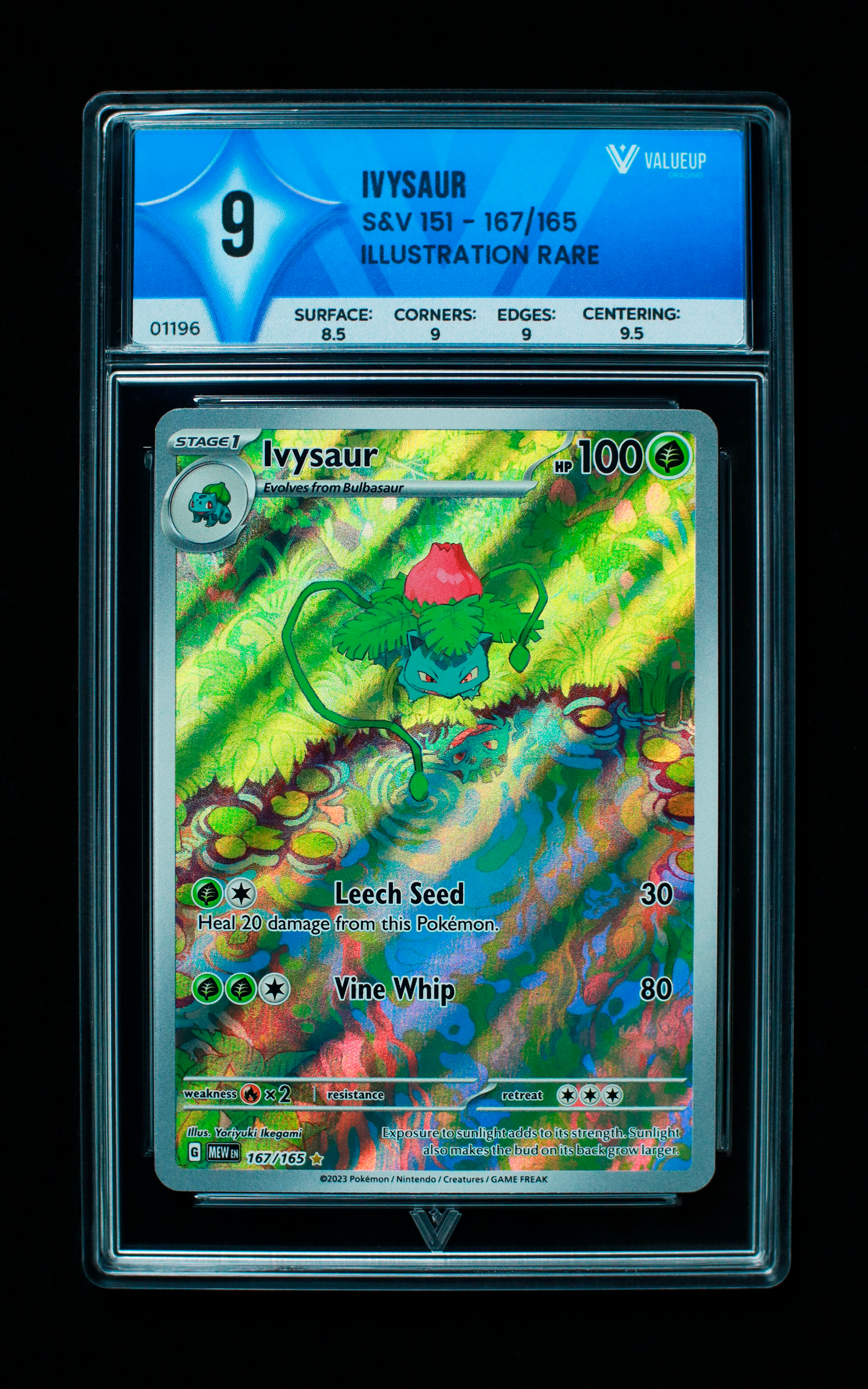 01196 IVYSAUR