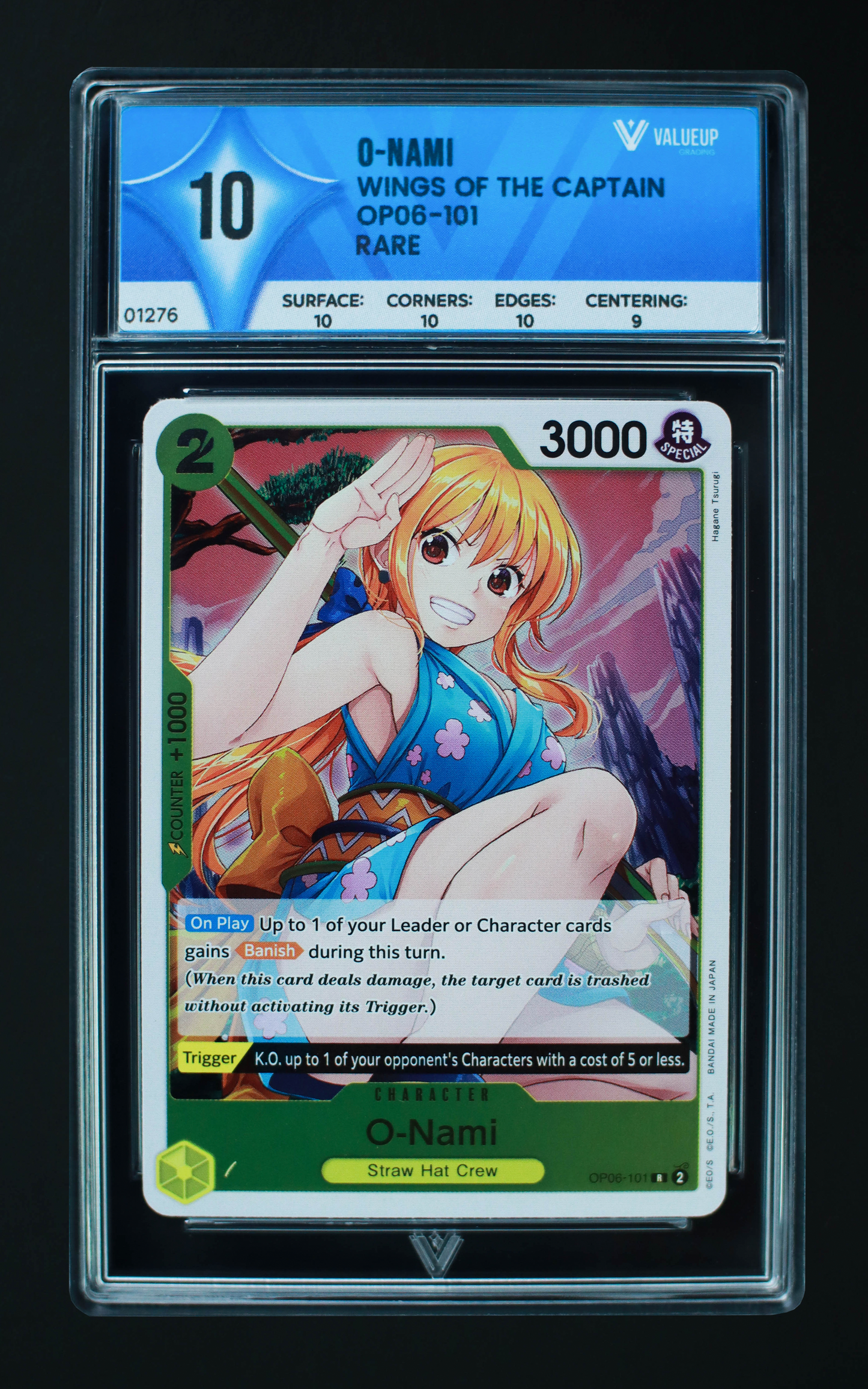 01276 O-NAMI