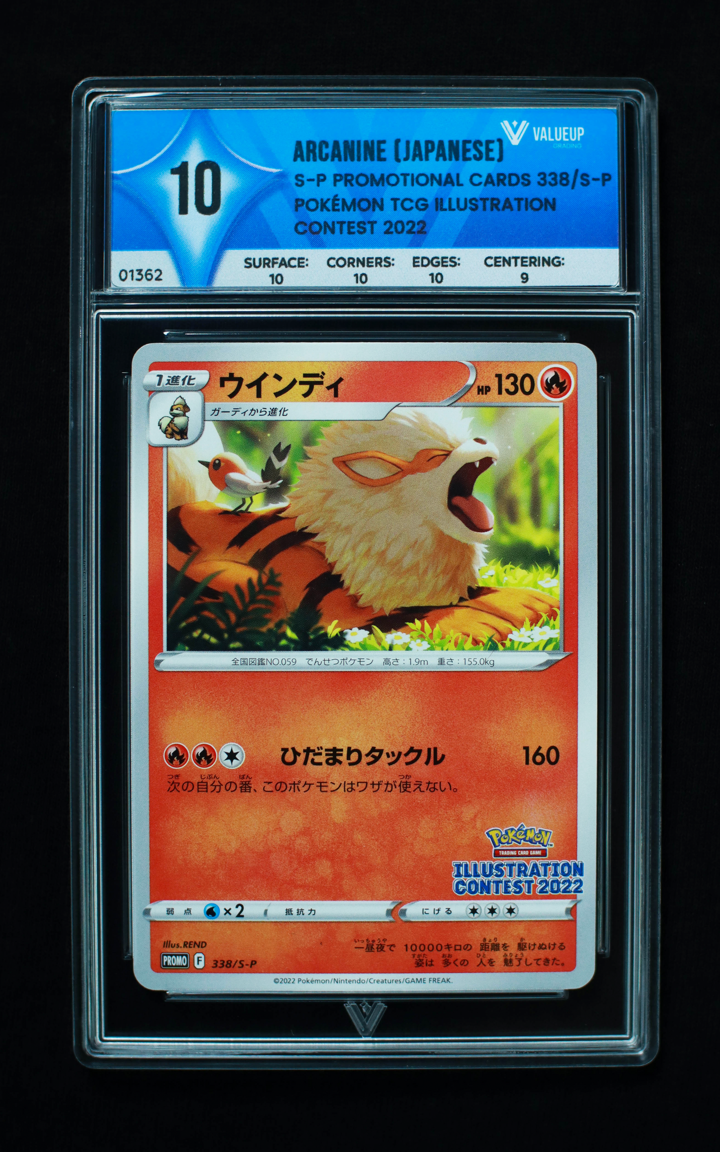 01362 ARCANINE (JAPANESE)