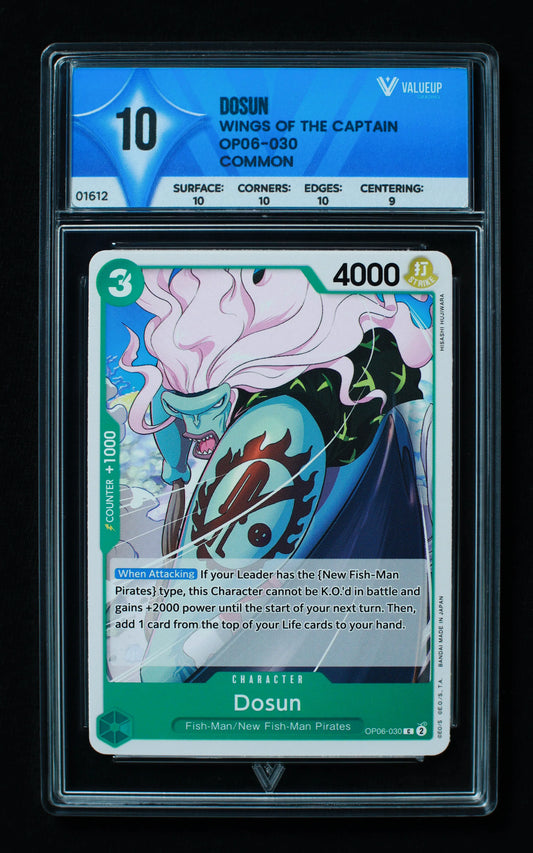 01612 DOSUN Grading Card