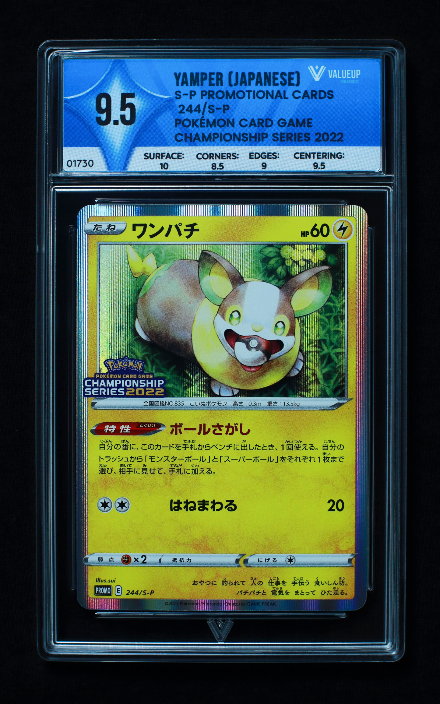 01730 YAMPER (JAPANESE)