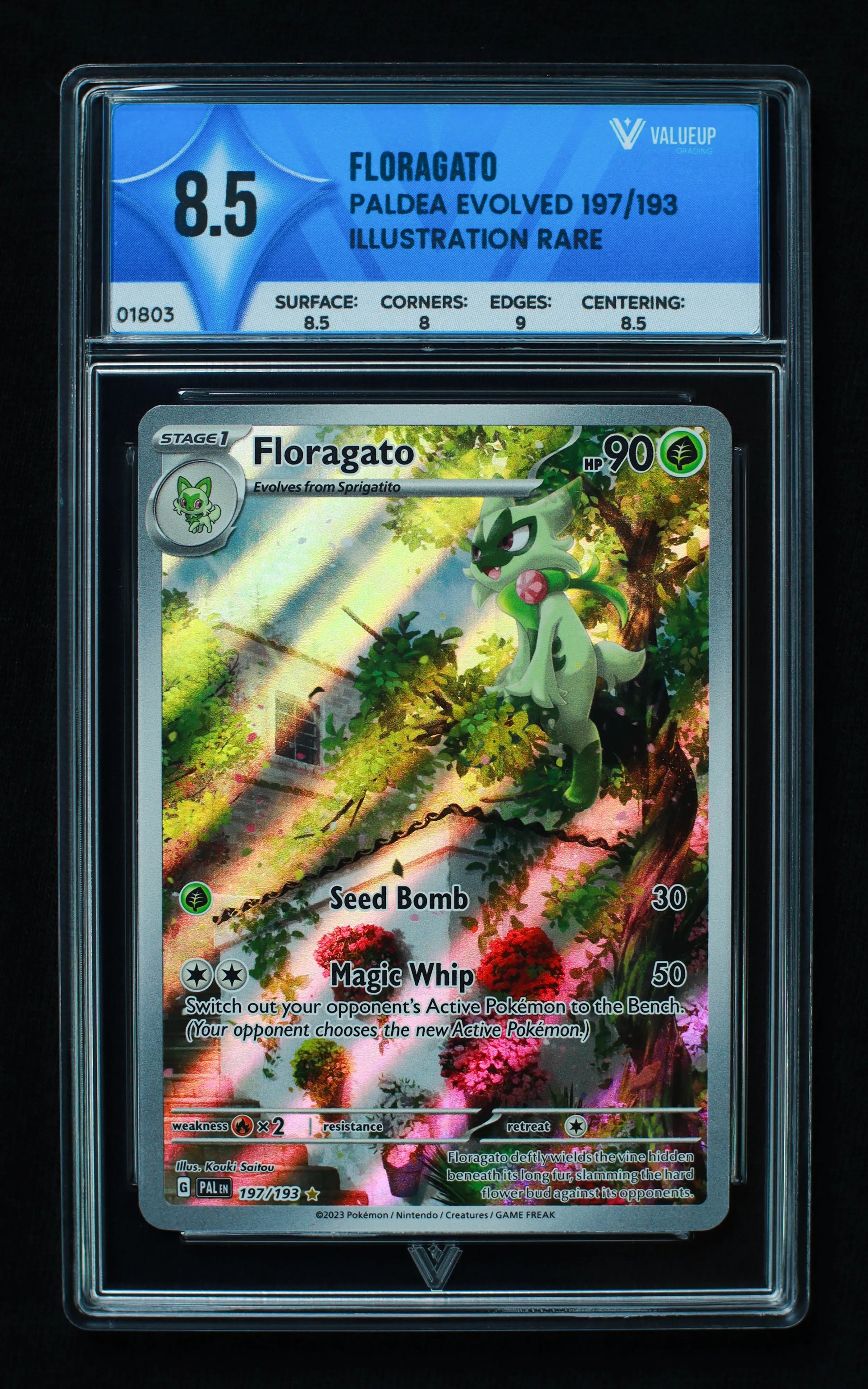01803 FLORAGATO Grading Card