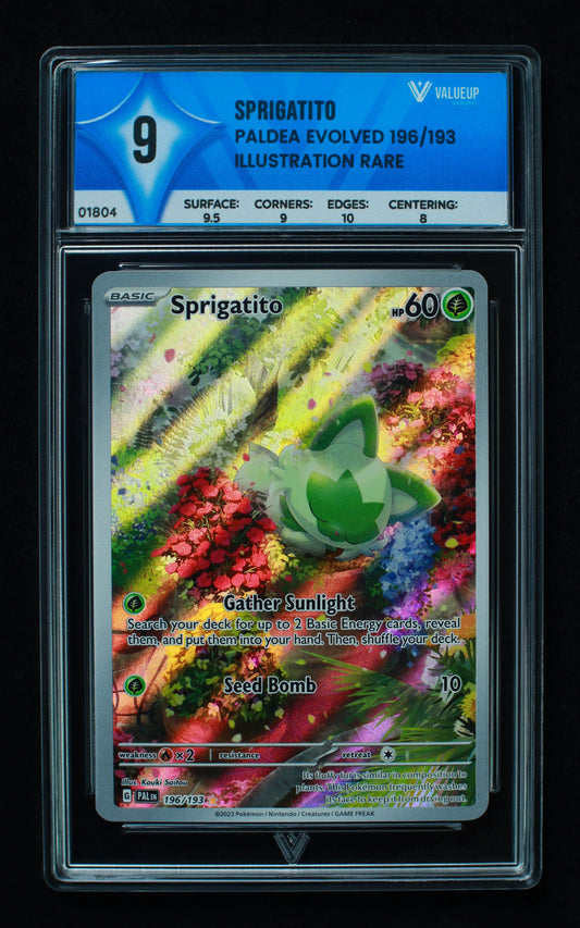 01804 SPRIGATITO Grading Card