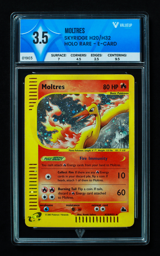 01903 MOLTRES