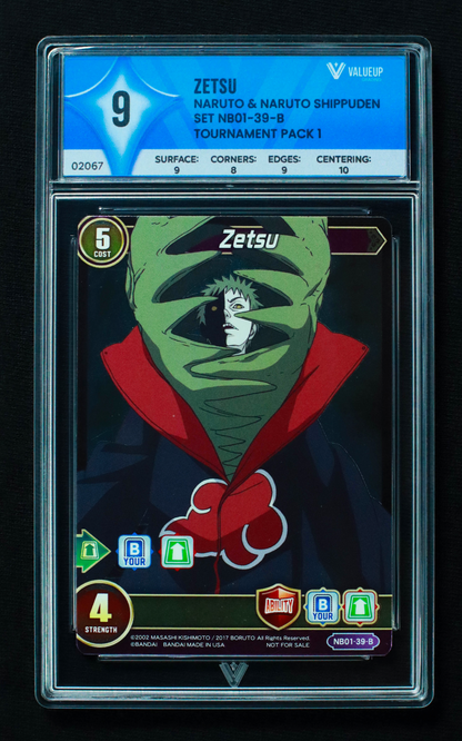 02067 ZETSU