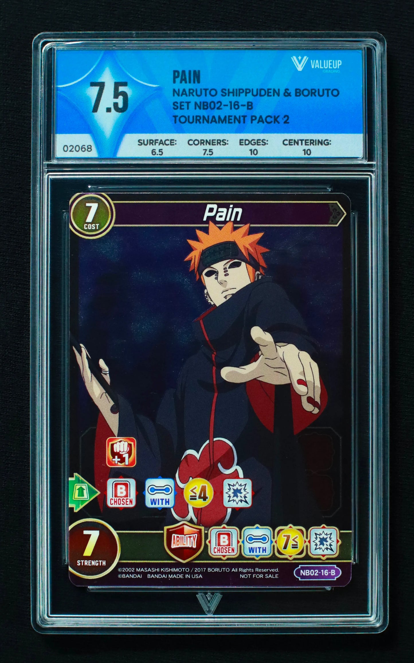 02068 PAIN Grading Card