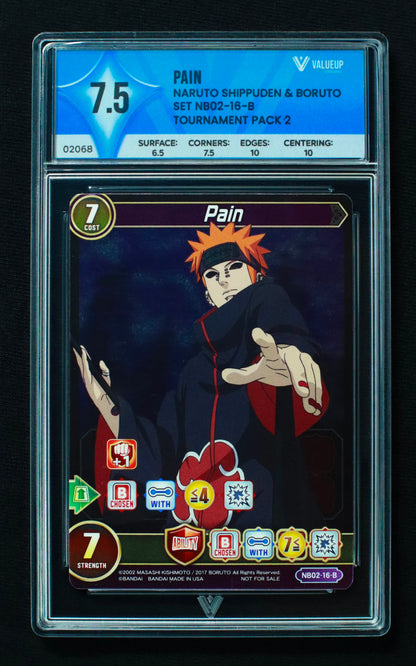 02068 PAIN Grading Card