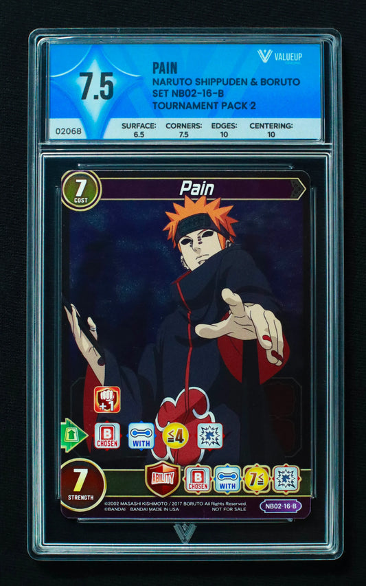 02068 PAIN Grading Card