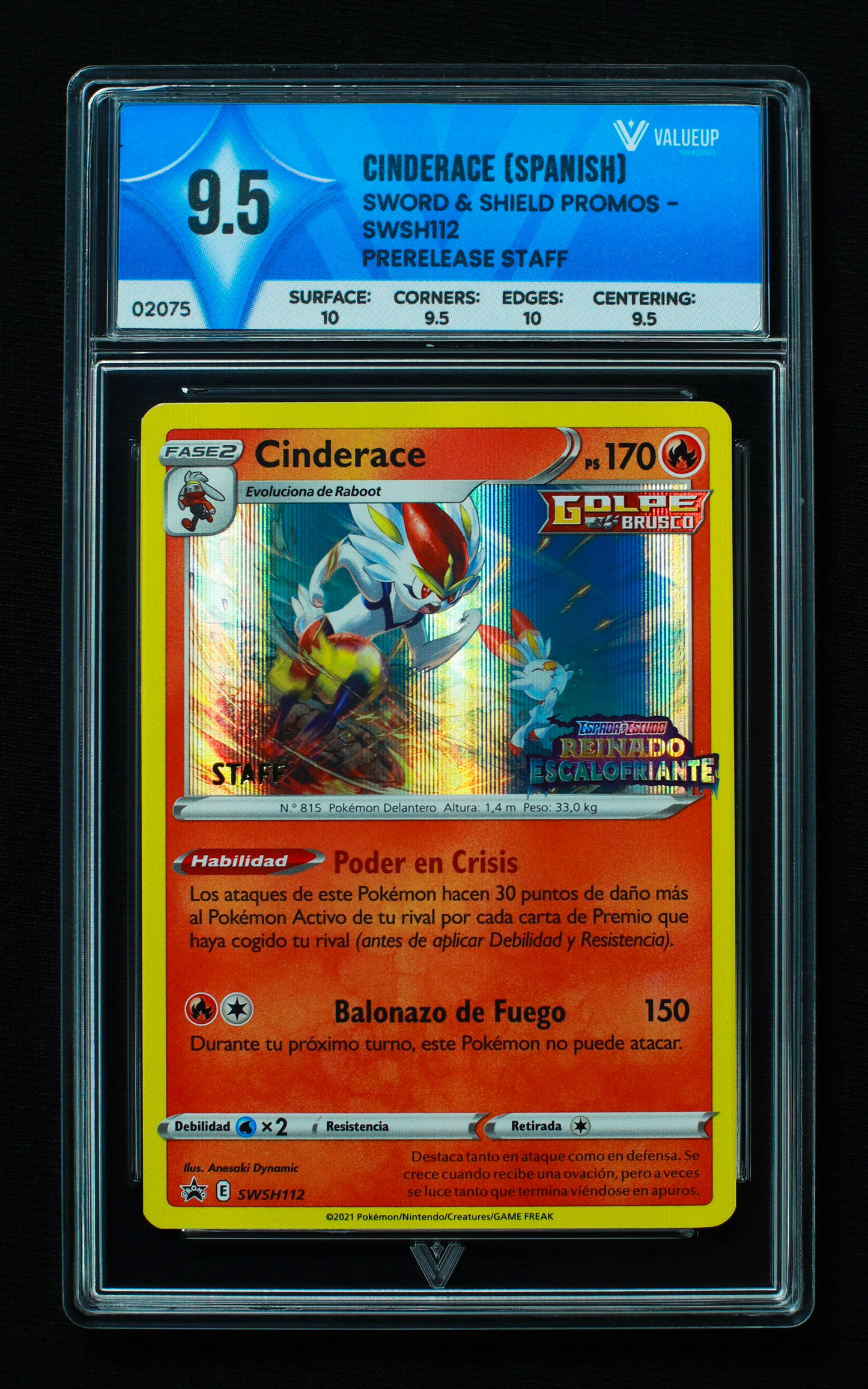 02075 CINDERACE (SPANISH)