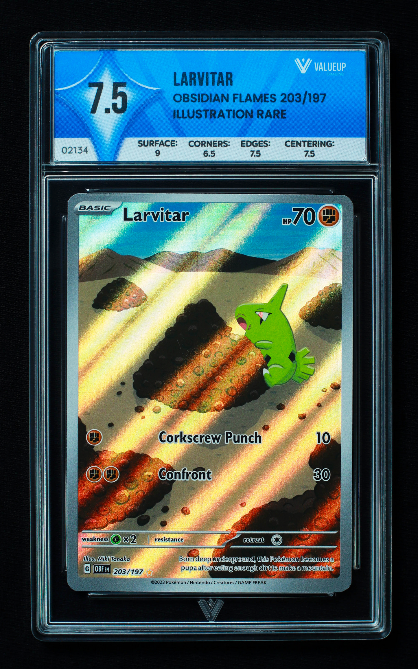 02134 LARVITAR