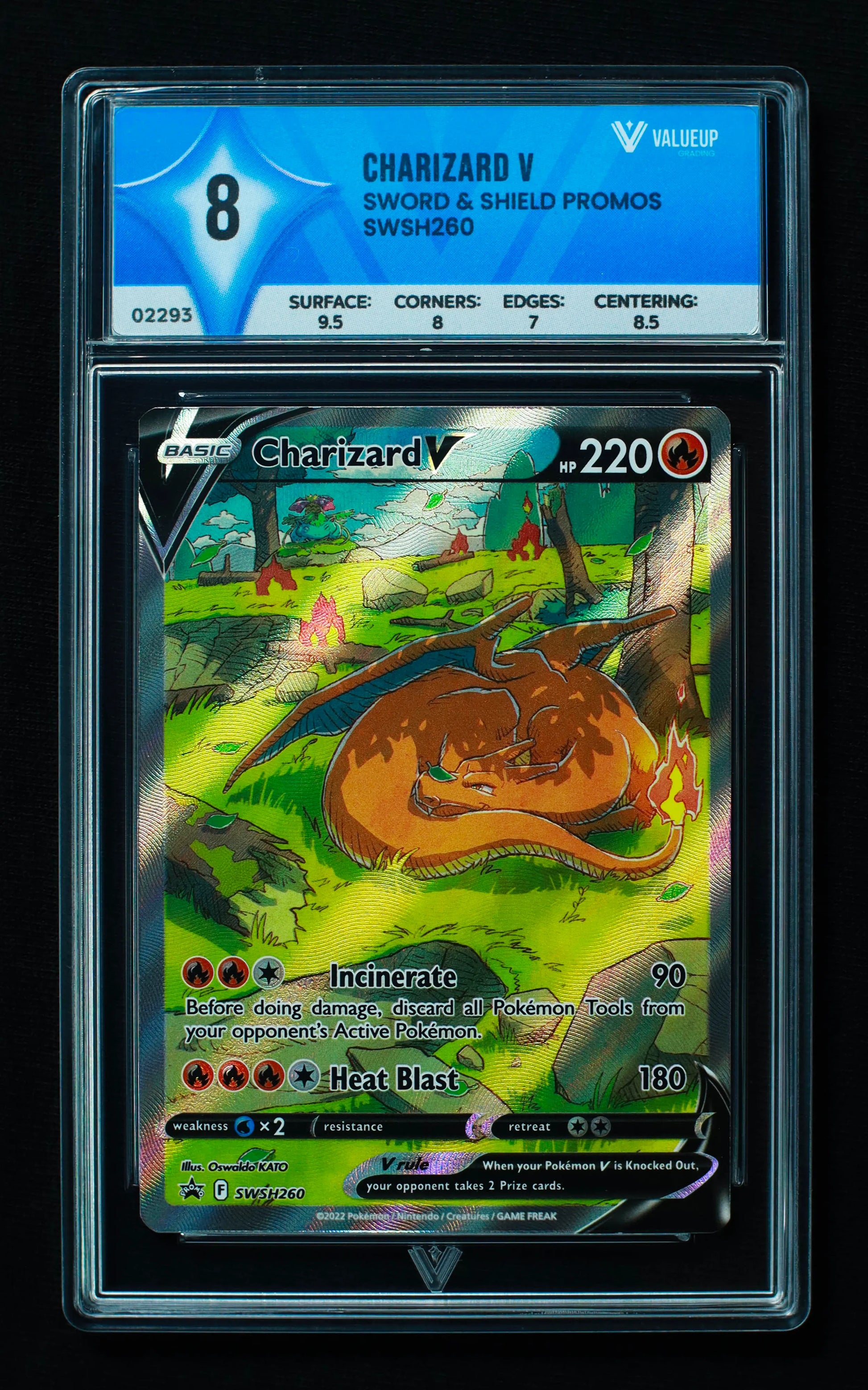 02293 CHARIZARD V Grading Card