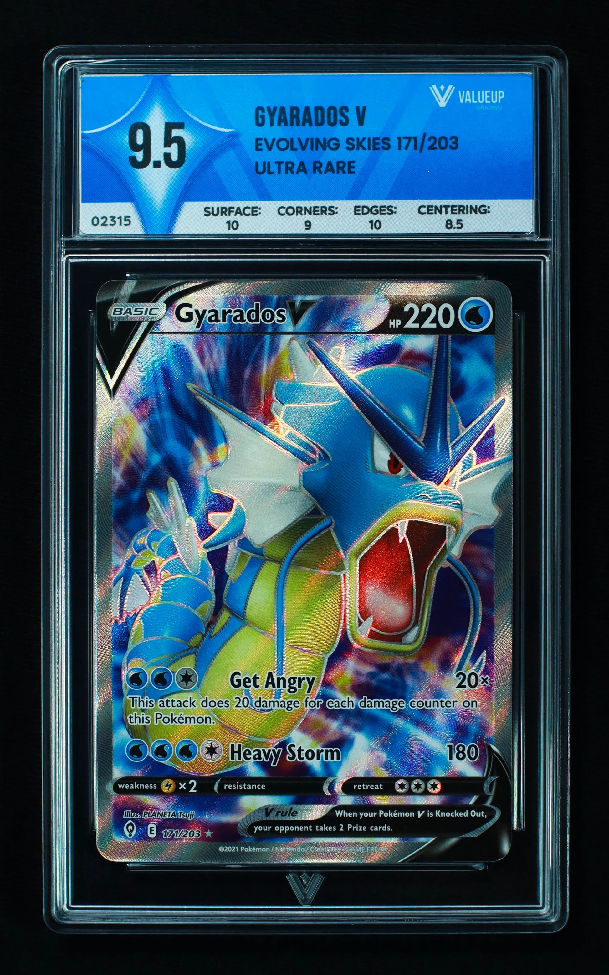 02315 GYARADOS V Grading Card