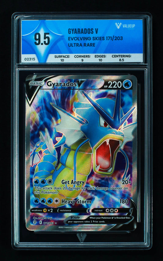 02315 GYARADOS V Grading Card