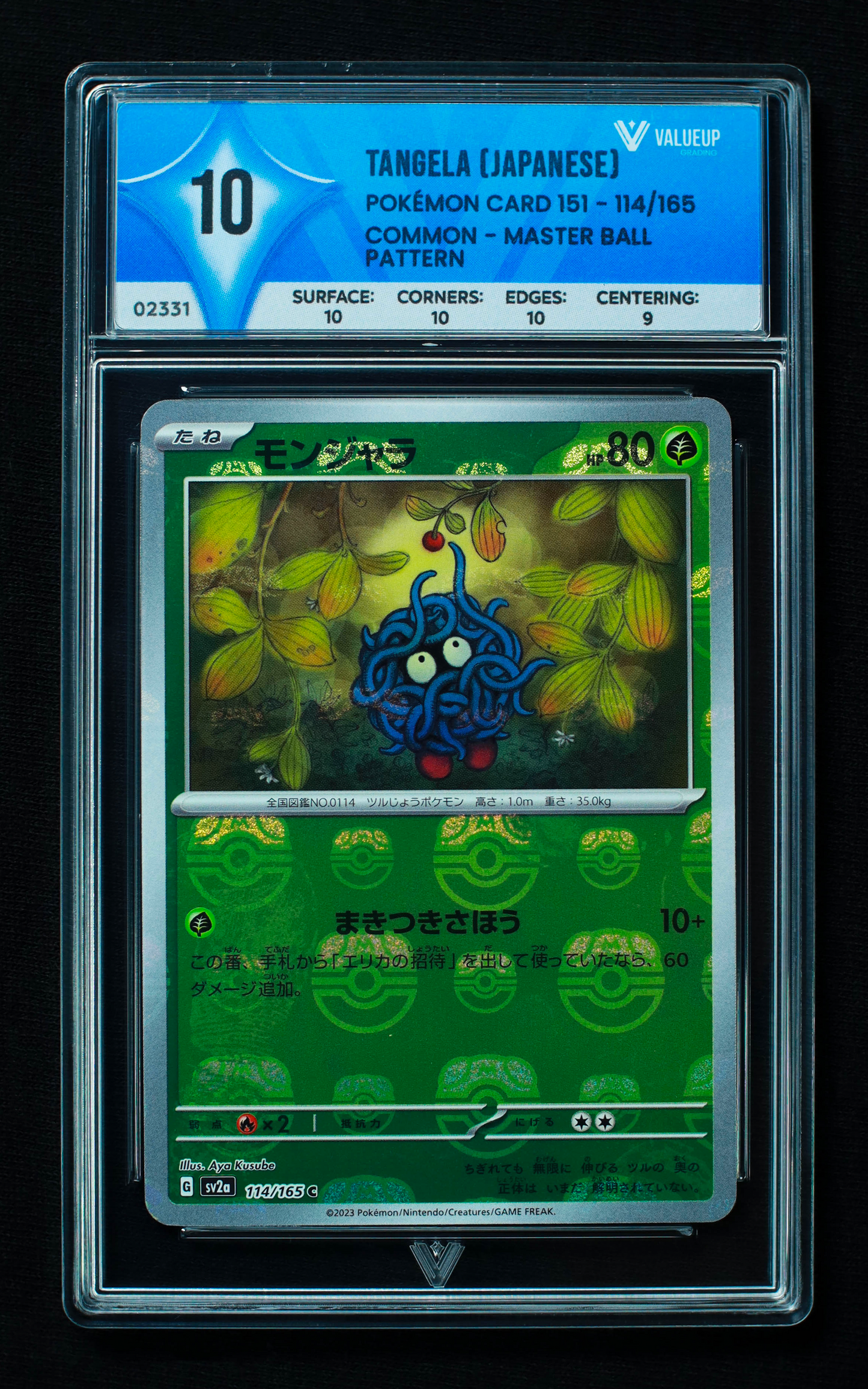 02331 TANGELA (JAPANESE)