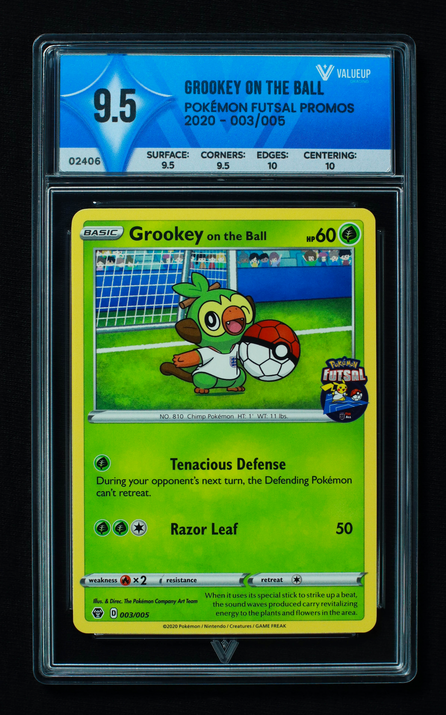 02406 GROOKEY ON THE BALL