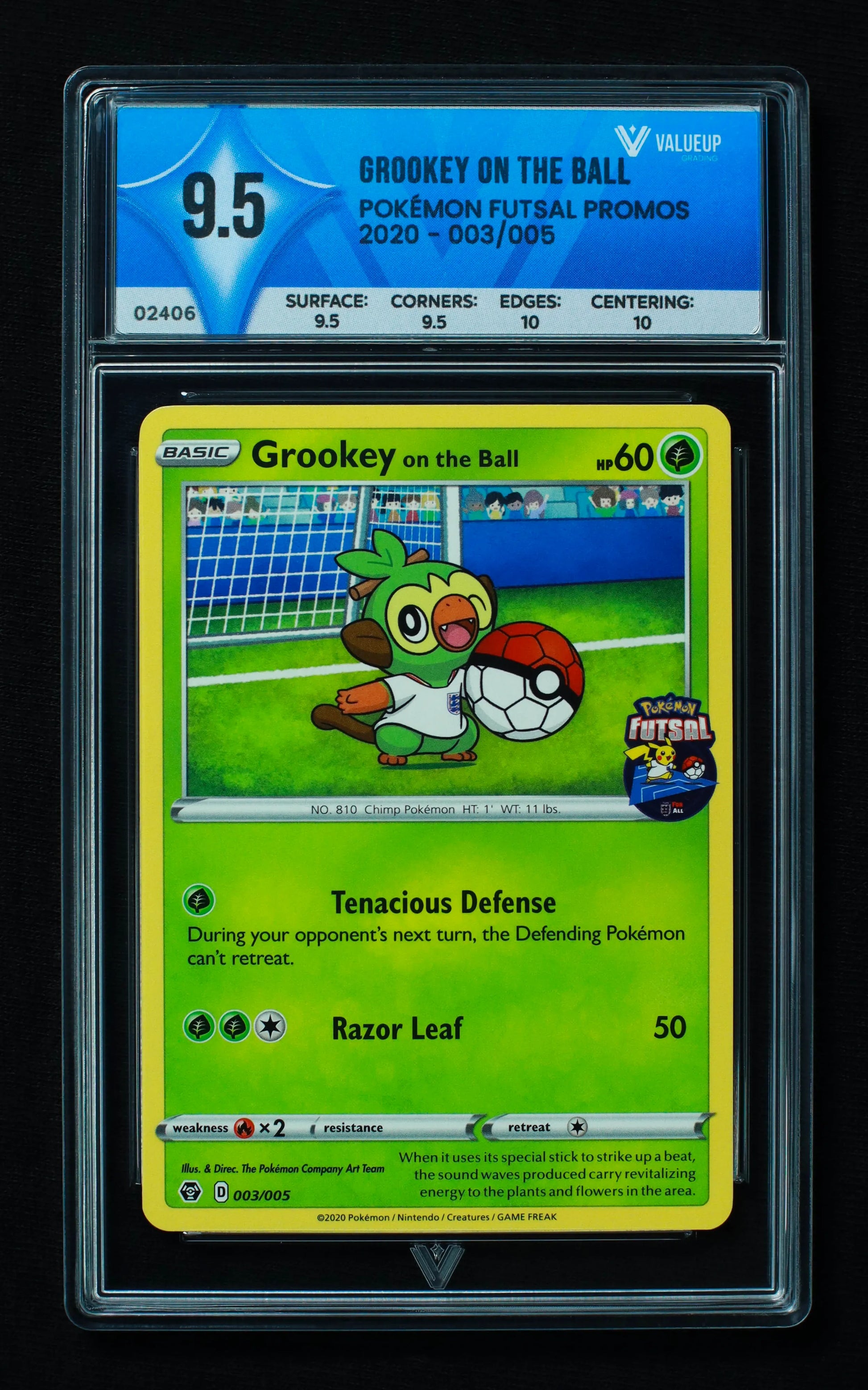 02406 GROOKEY ON THE BALL Grading Card