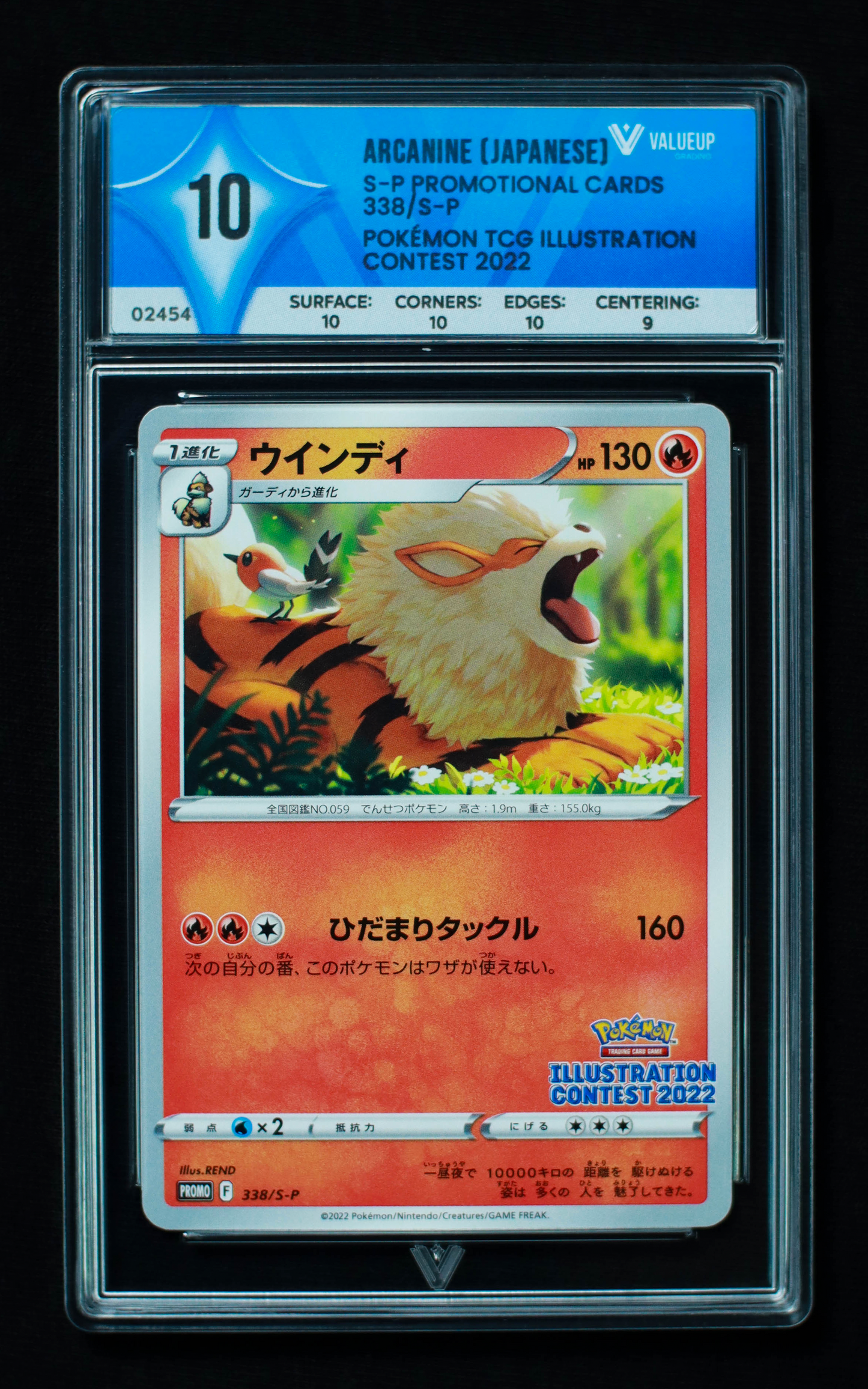 02454 ARCANINE (JAPANESE)