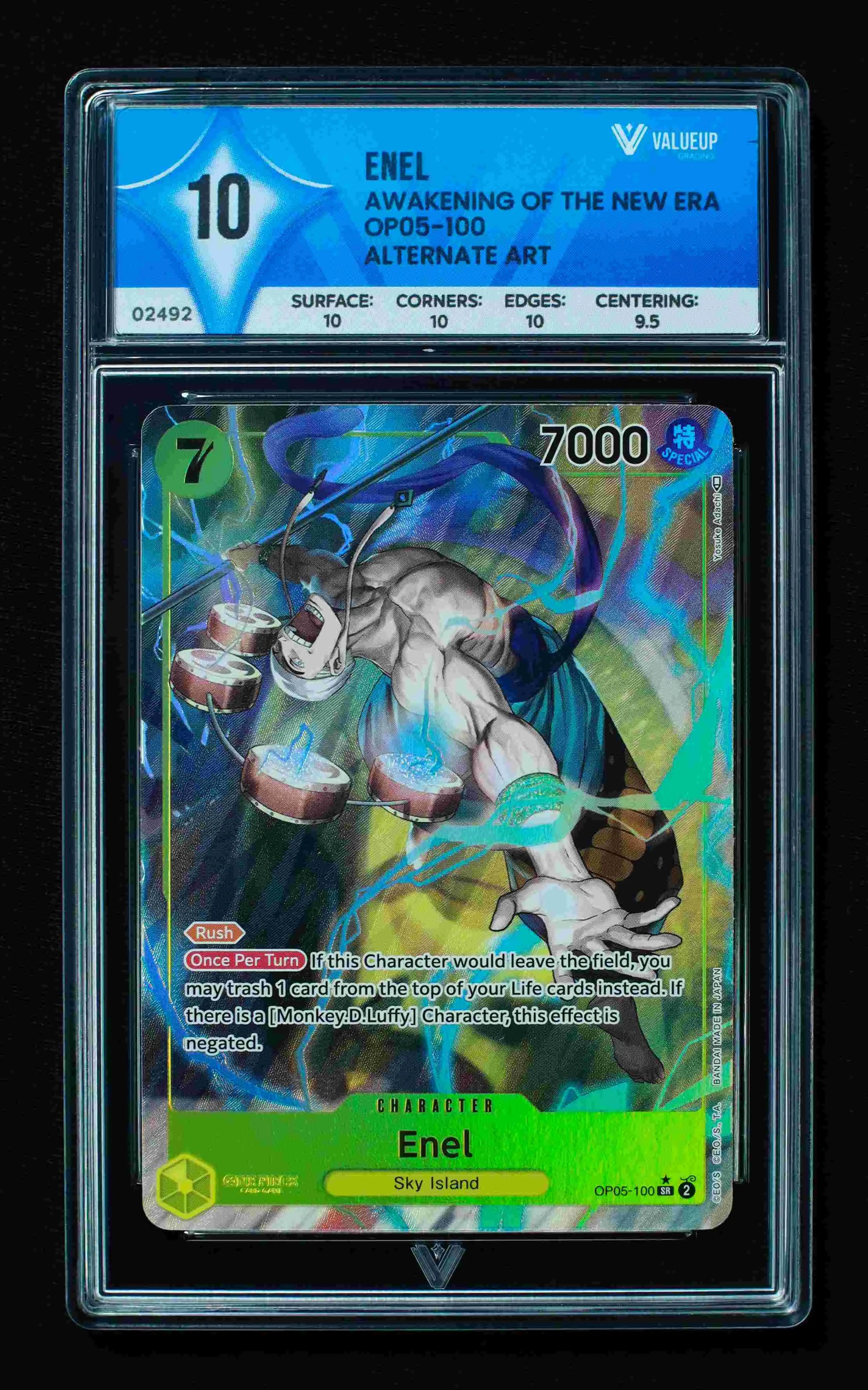 02492 ENEL Grading Card