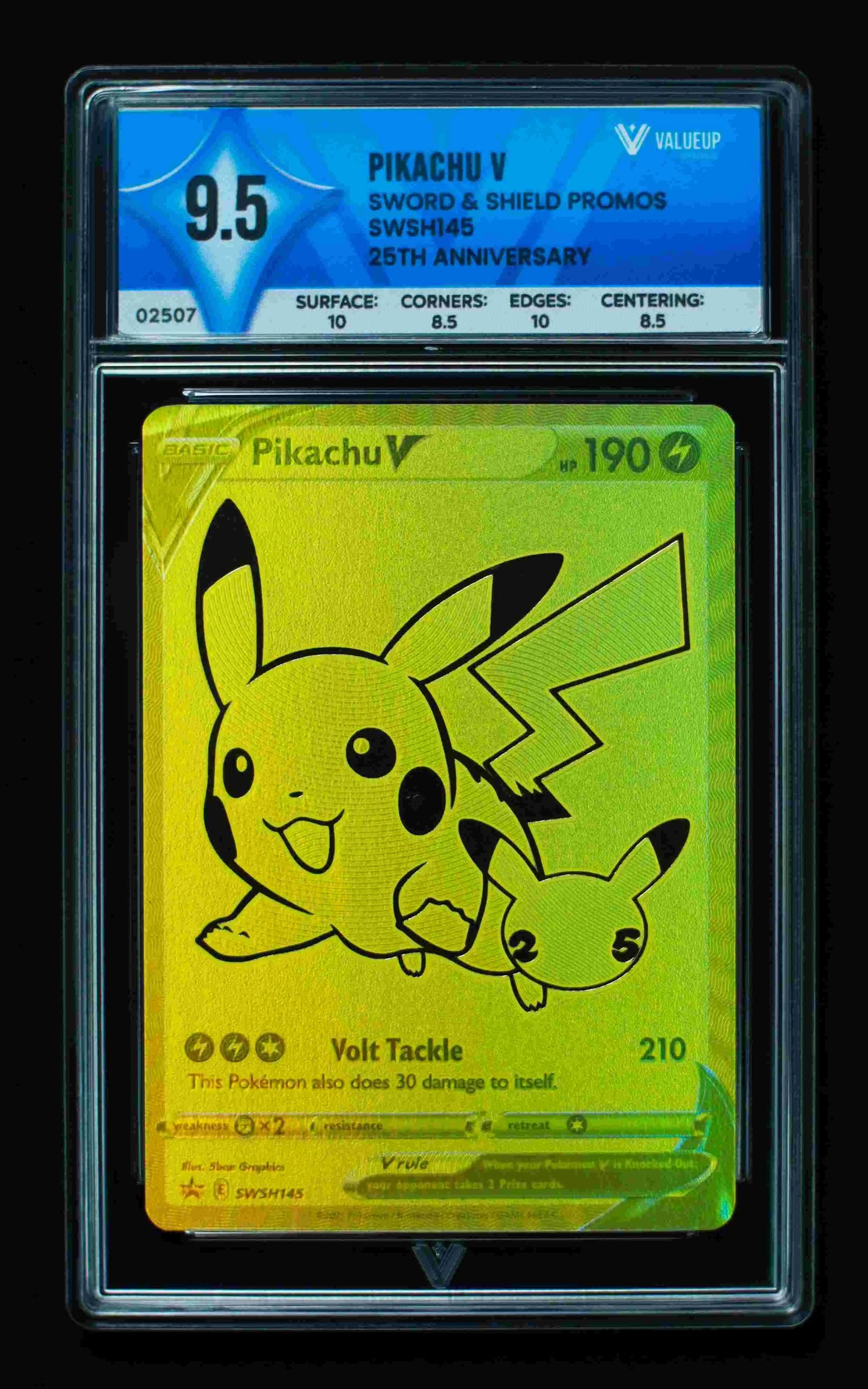 02507 PIKACHU V Grading Card