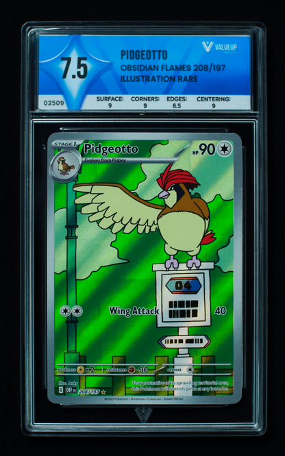 02509 PIDGEOTTO