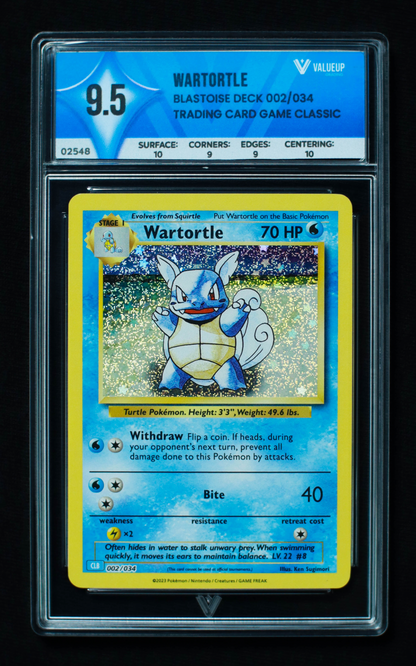 02548 WARTORTLE