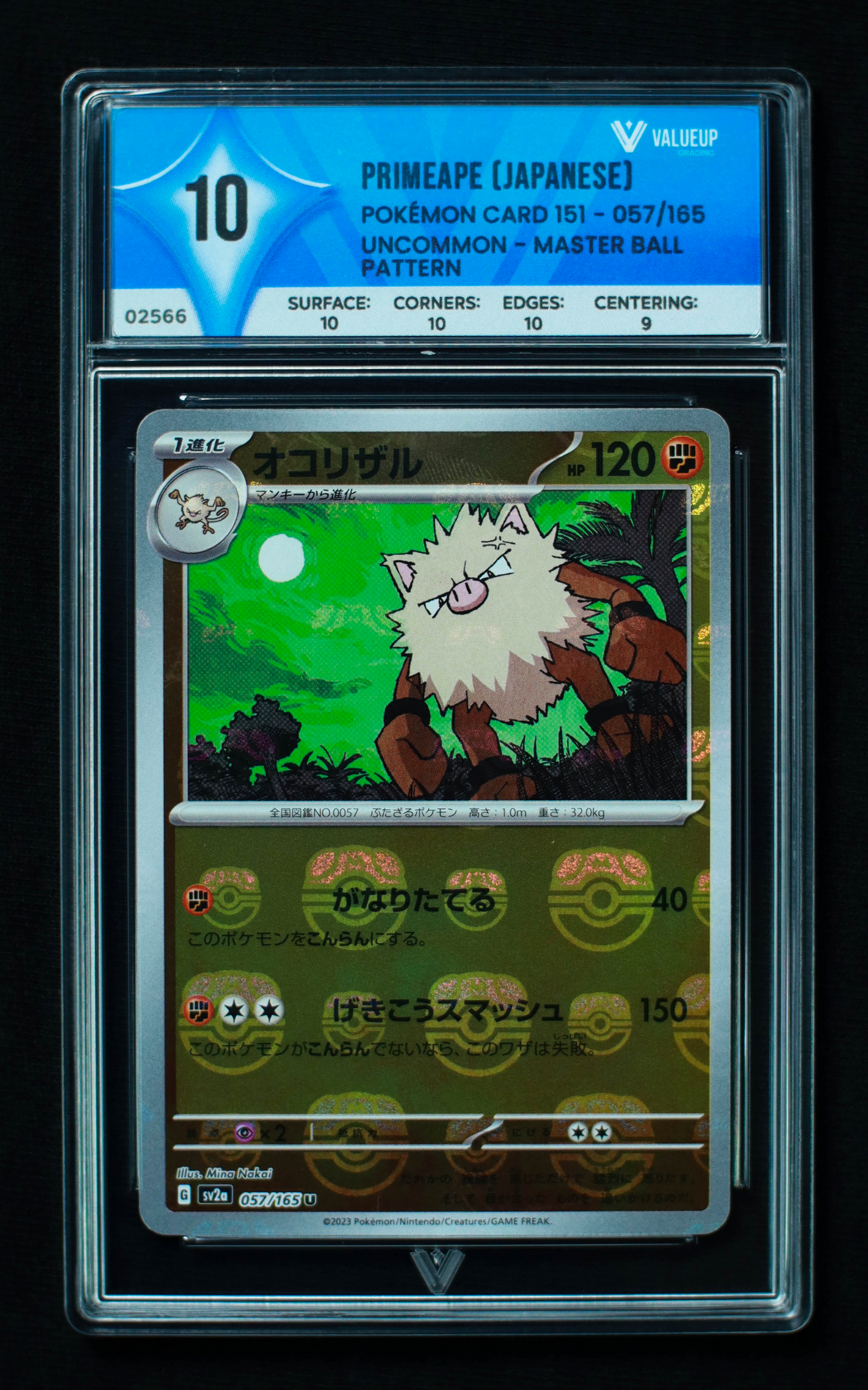 02566 PRIMEAPE (JAPANESE)