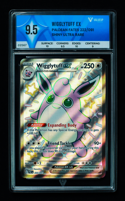 02567 WIGGLYTUFF EX