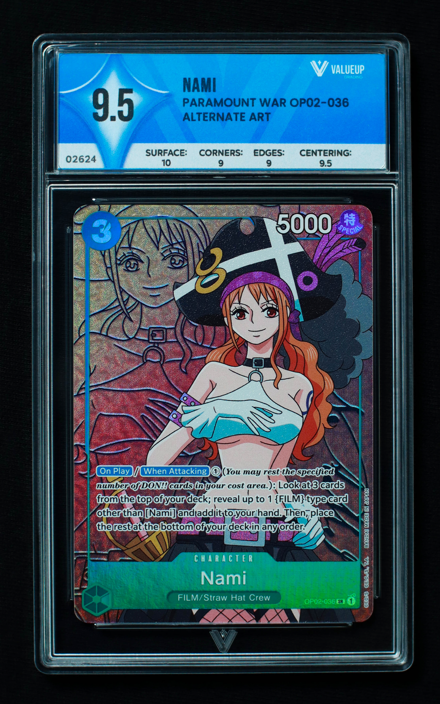 02624 NAMI