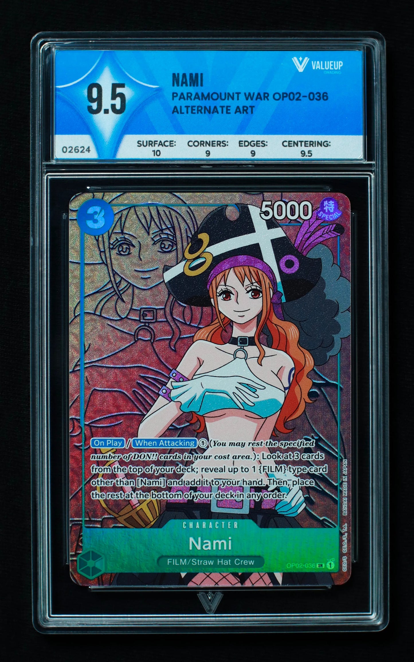 02624 NAMI Grading Card