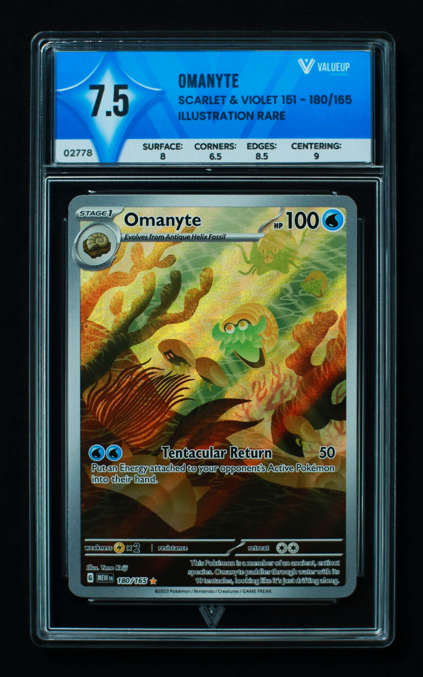 02778 OMANYTE