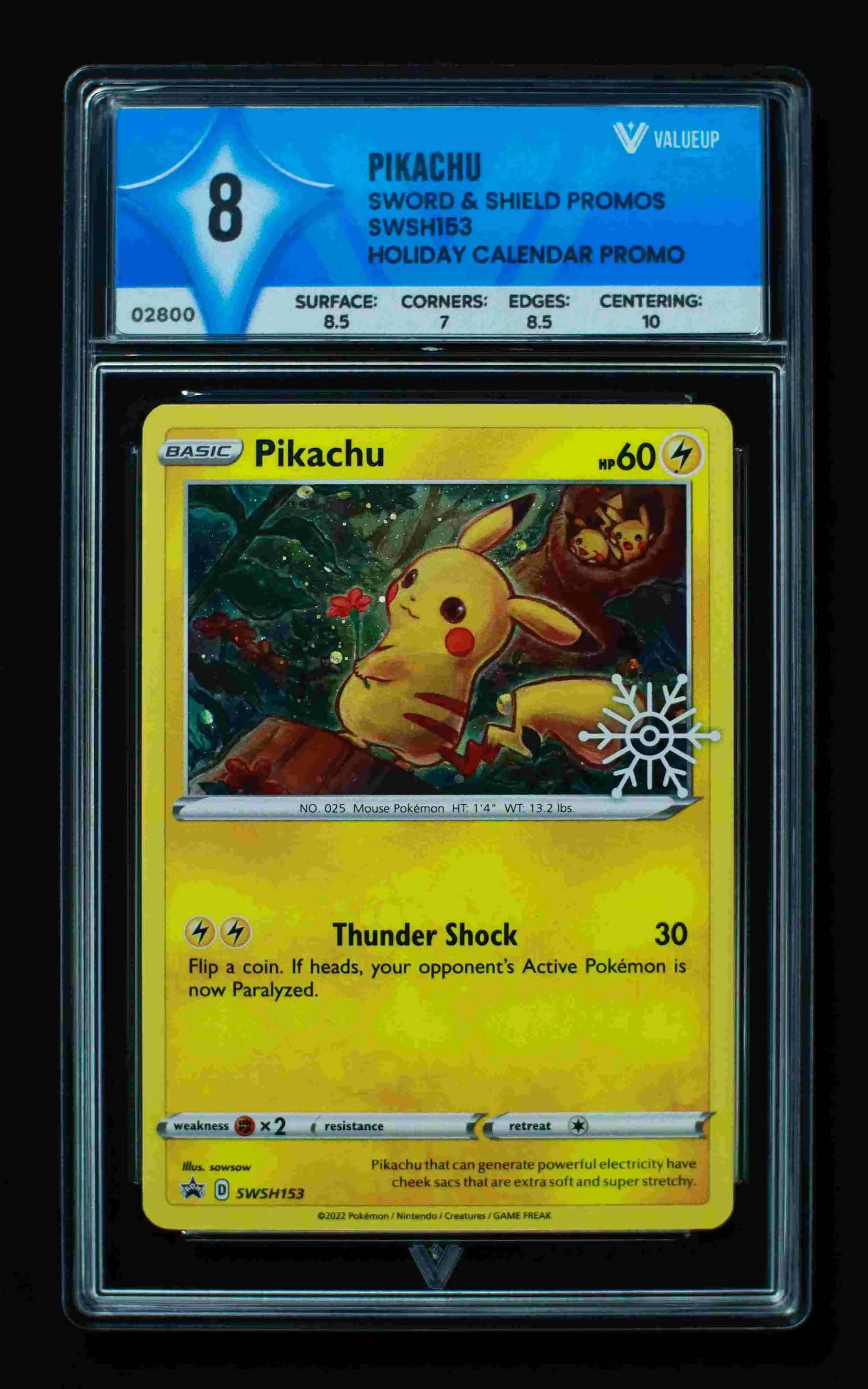 02800 PIKACHU Grading Card