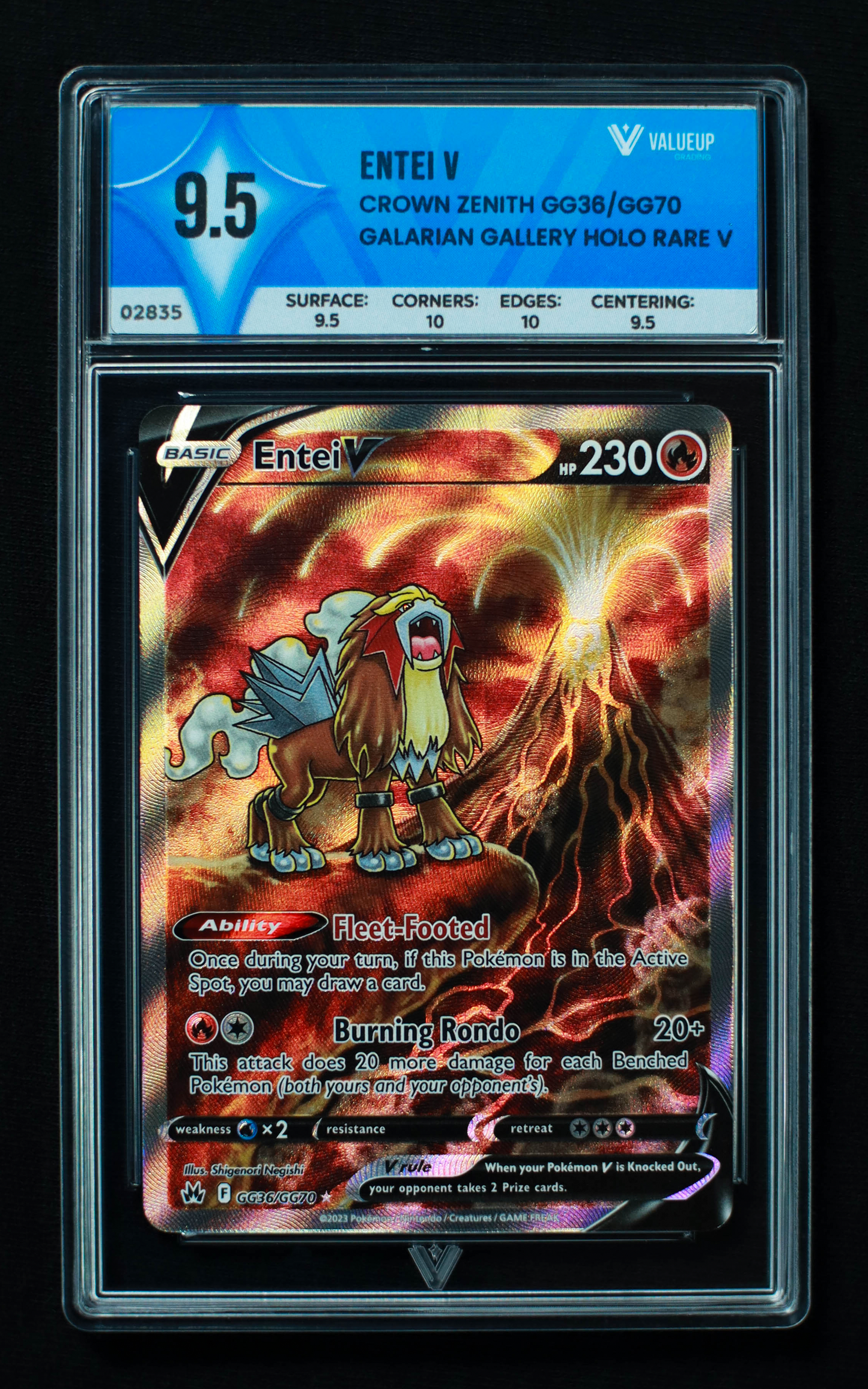 02835 ENTEI V