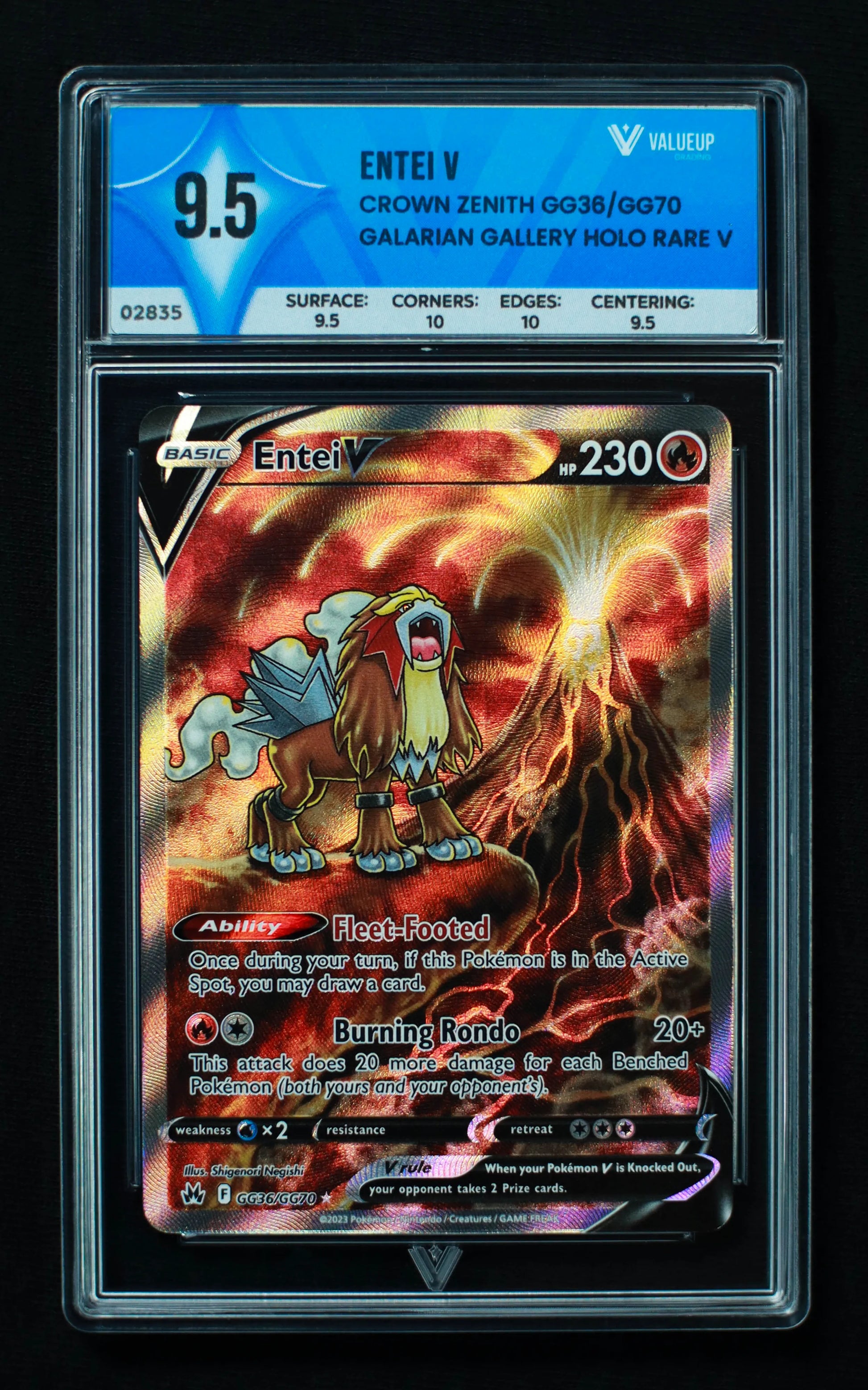 02835 ENTEI V Grading Card