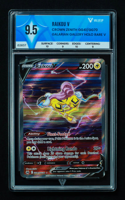 02837 RAIKOU V Grading Card