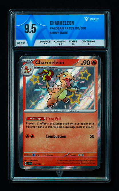 02851 CHARMELEON