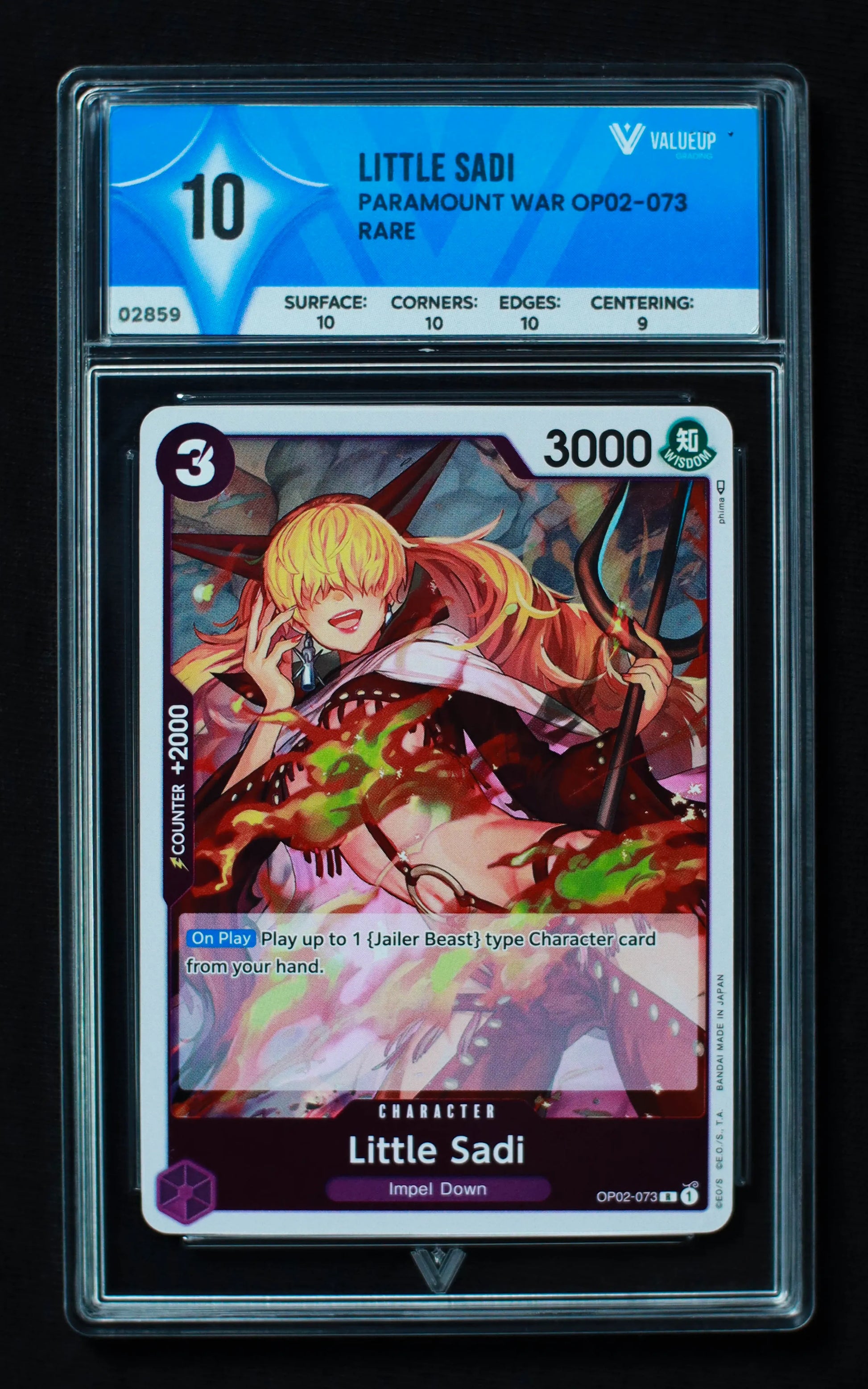 02859 LITTLE SADI Grading Card