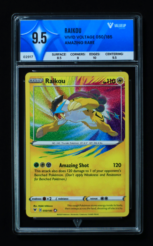 02917 RAIKOU