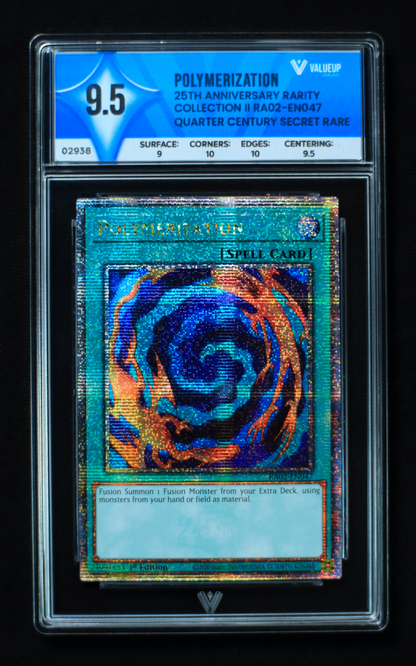 02938 POLYMERIZATION