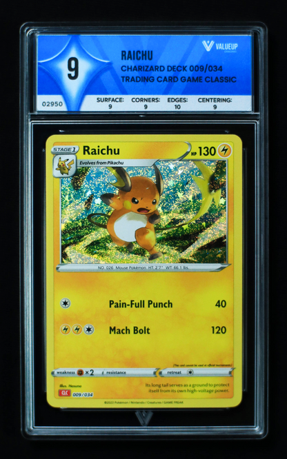 02950 RAICHU