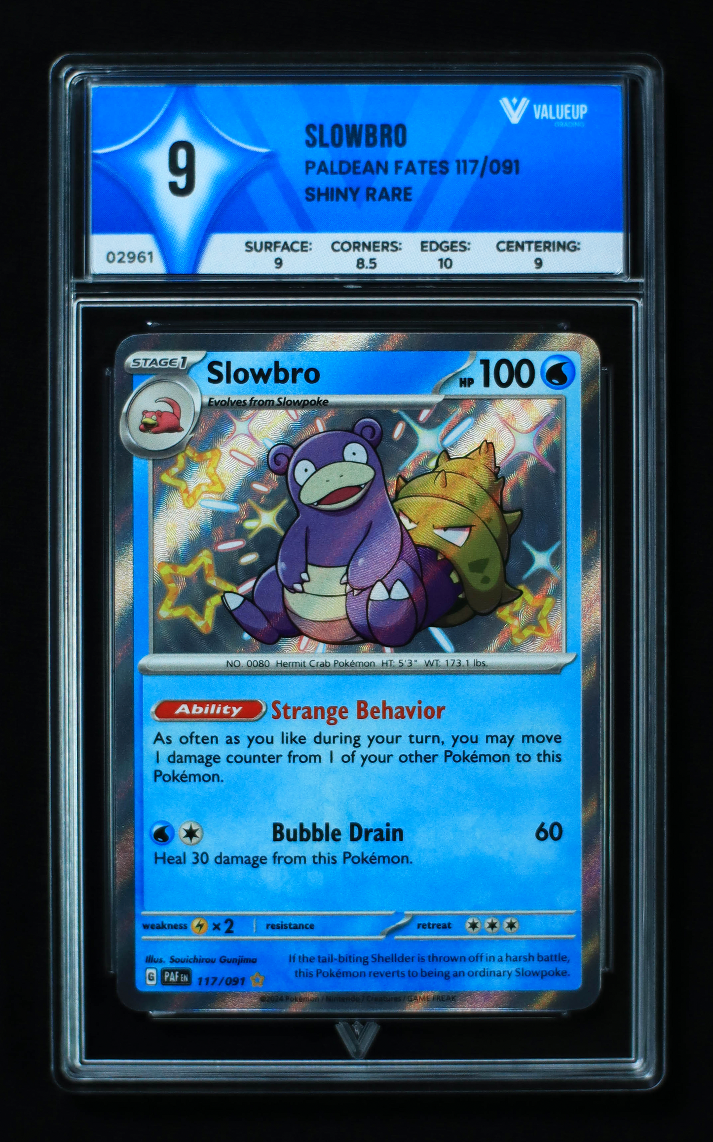 02961 SLOWBRO