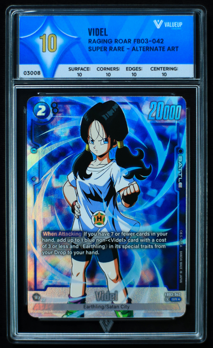 03008 VIDEL