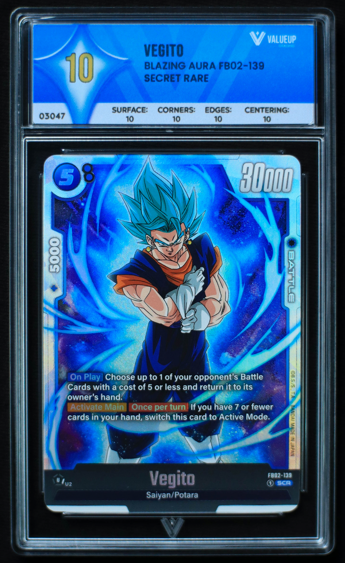 03047 VEGITO