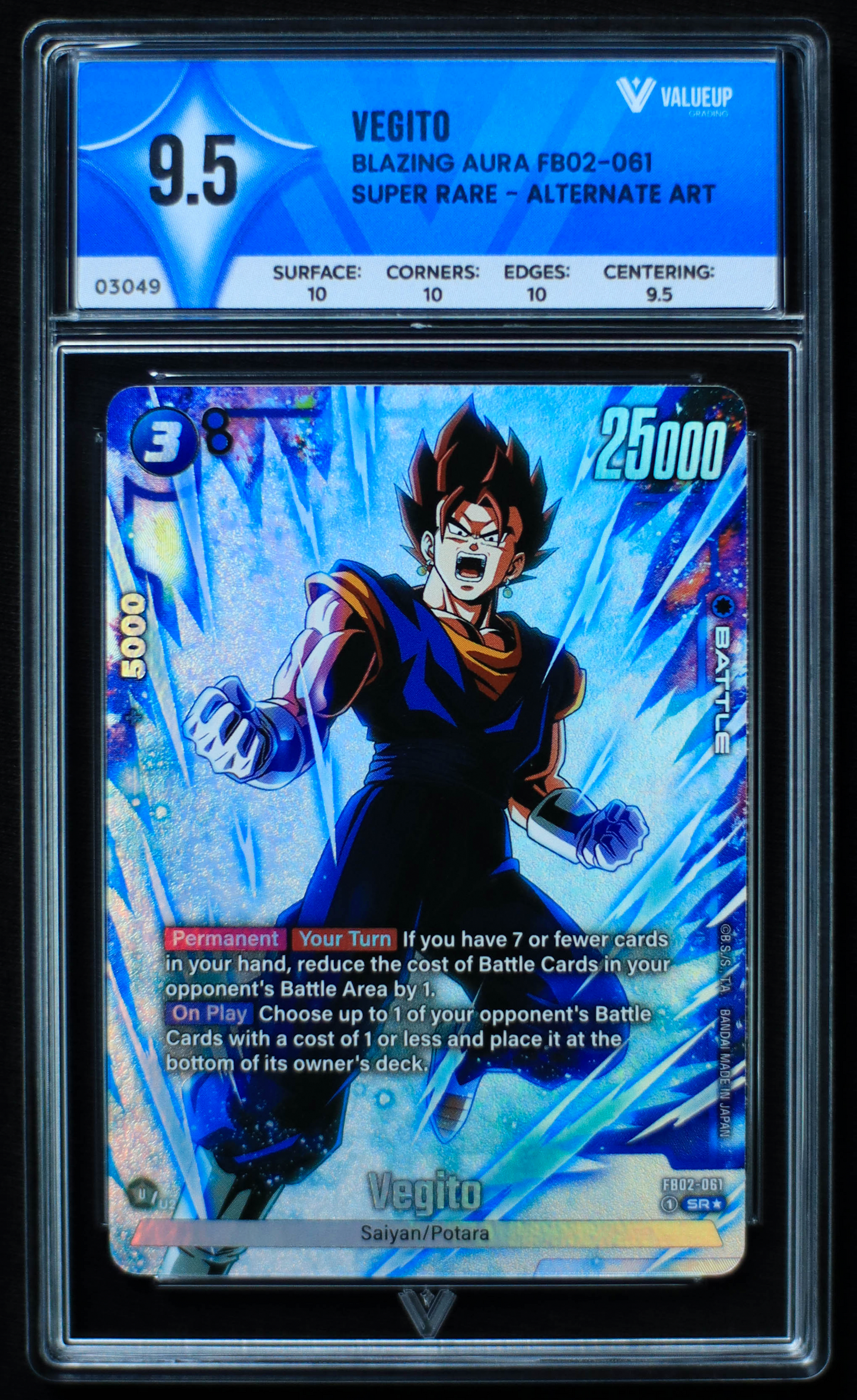 03049 VEGITO