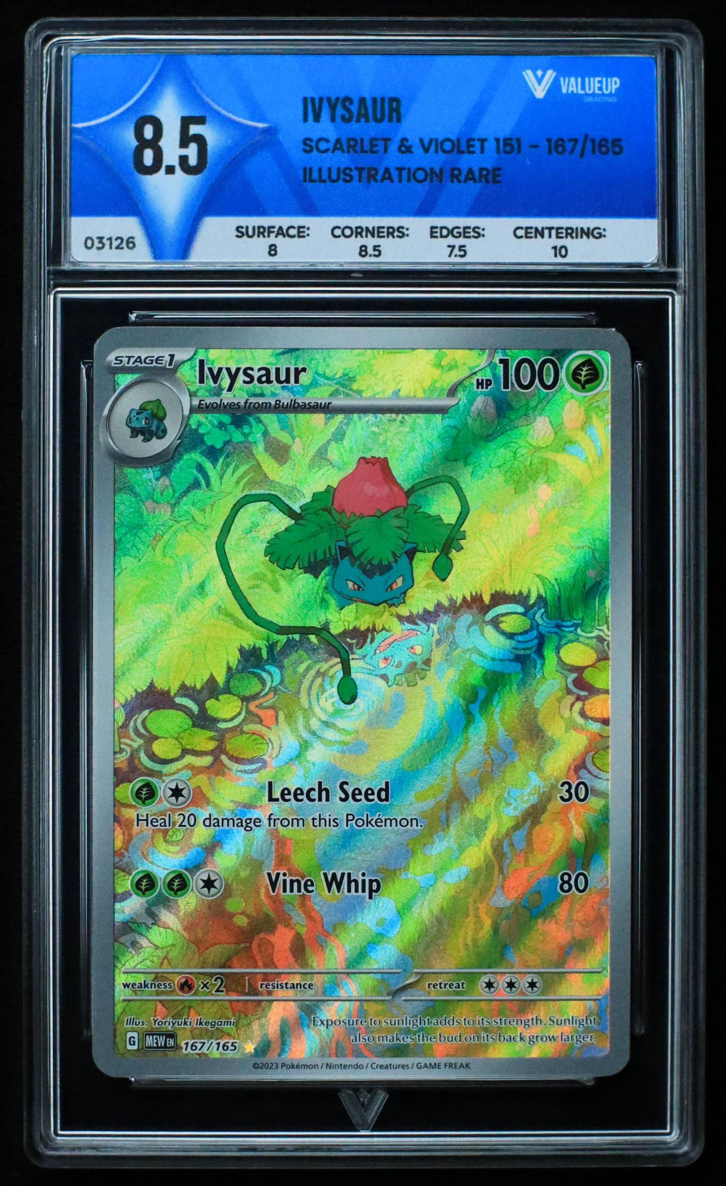 03126 IVYSAUR