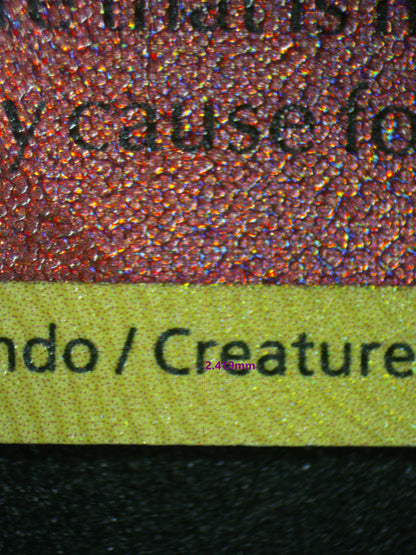 03149 RADIANT CHARIZARD - ValueUp