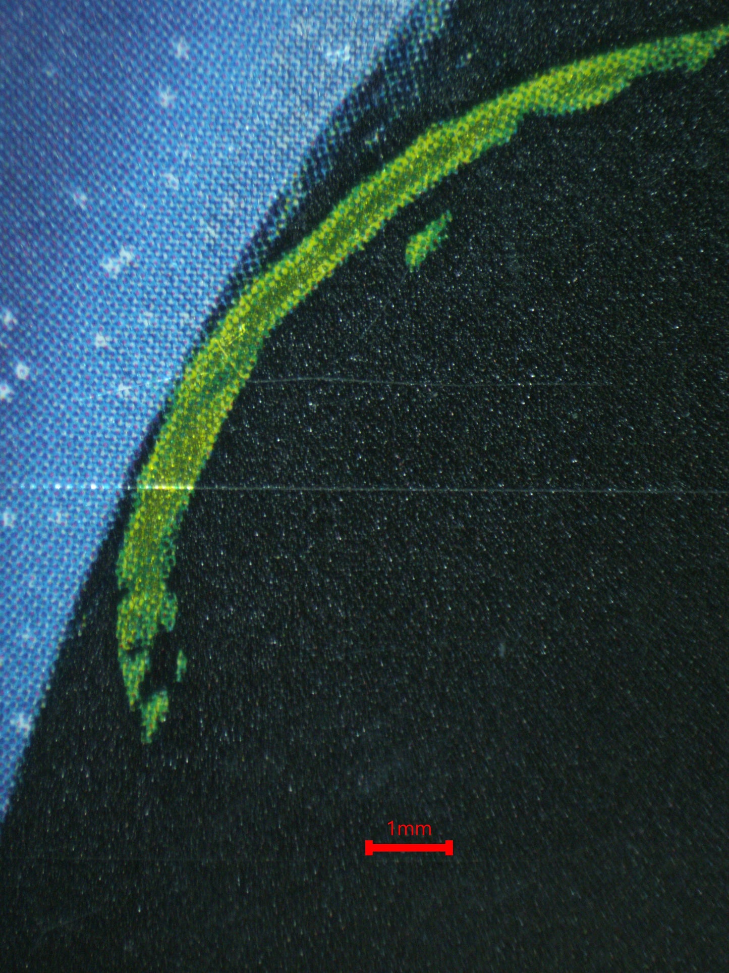 03183 CELEBI - ValueUp