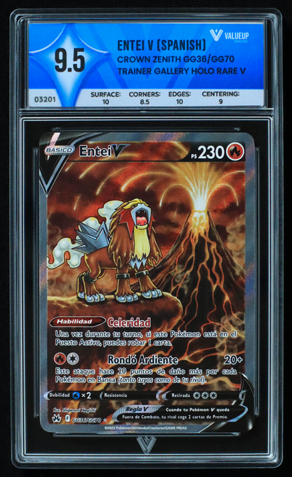 03201 ENTEI V (SPANISH)