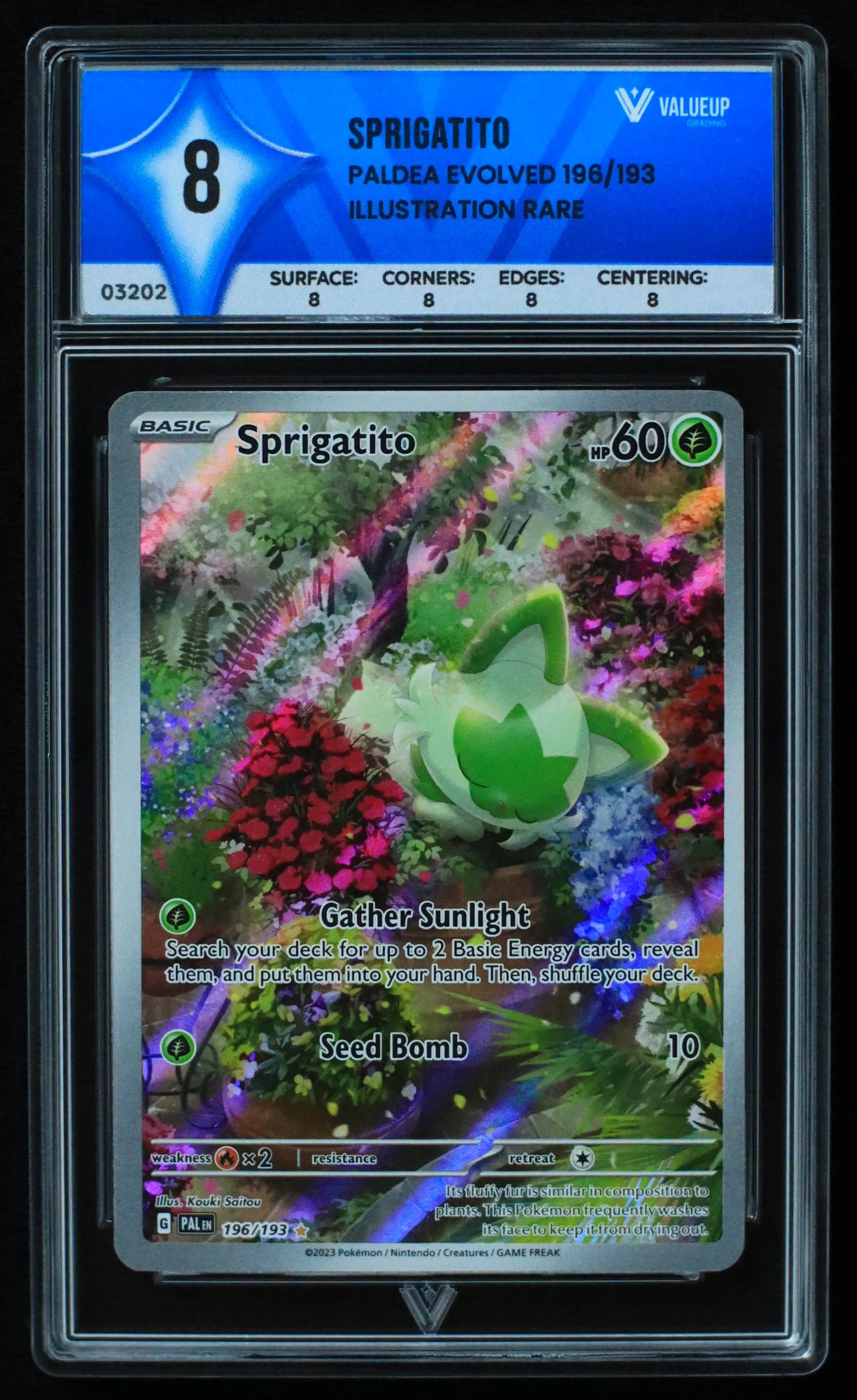 03202 SPRIGATITO - ValueUp
